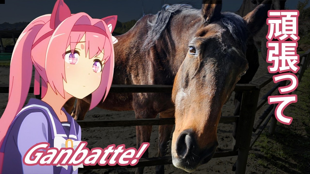 haru様 ❸❹❺ Haru Urara's Desperate Struggle for Survival - YouTube