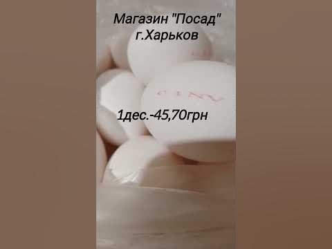 Цена за десяток яиц #яйца #ценывукраине #ценынапродукты # ...