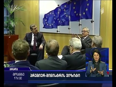 გიორგი კვირიკაშვილის შეხვედრა ჩეხეთში ქართველ სტუდენტებთან