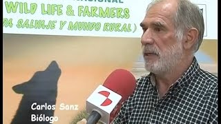 LOBO IBERICO: Carlos Sanz entrevistado en Televisión de Castilla y León (Zamora 2014)