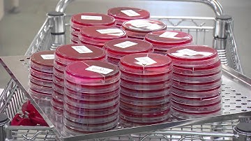 APAS -- Automated Plate Assessment System