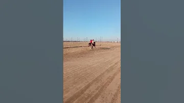 الخيل والليل والبيداء تعرفني 