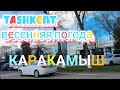 Uzbekistan Tashkent Весна покатаемся каракамыш