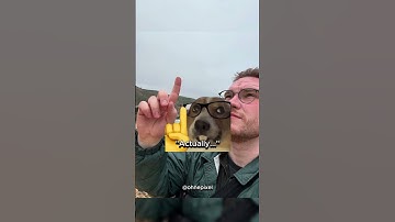 He Became The Meme 😭