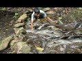 Easy Catch Fish From Water Fall In River Build Stone Hole Trap By Smart Boy