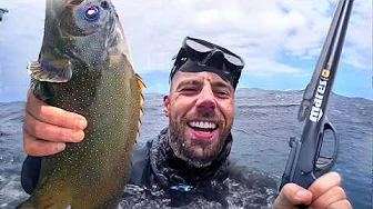 WILD Spearfishing in HAWAII (Catch & Cook)