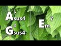 Absus4 (G#sus4) to Em7 Backing Track