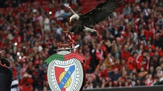 SL Benfica - Juntos Venceremos - Rafael Da Silva