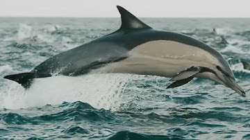 Highspeedworx Ember Shoots 5k 800fps with FPV Drone