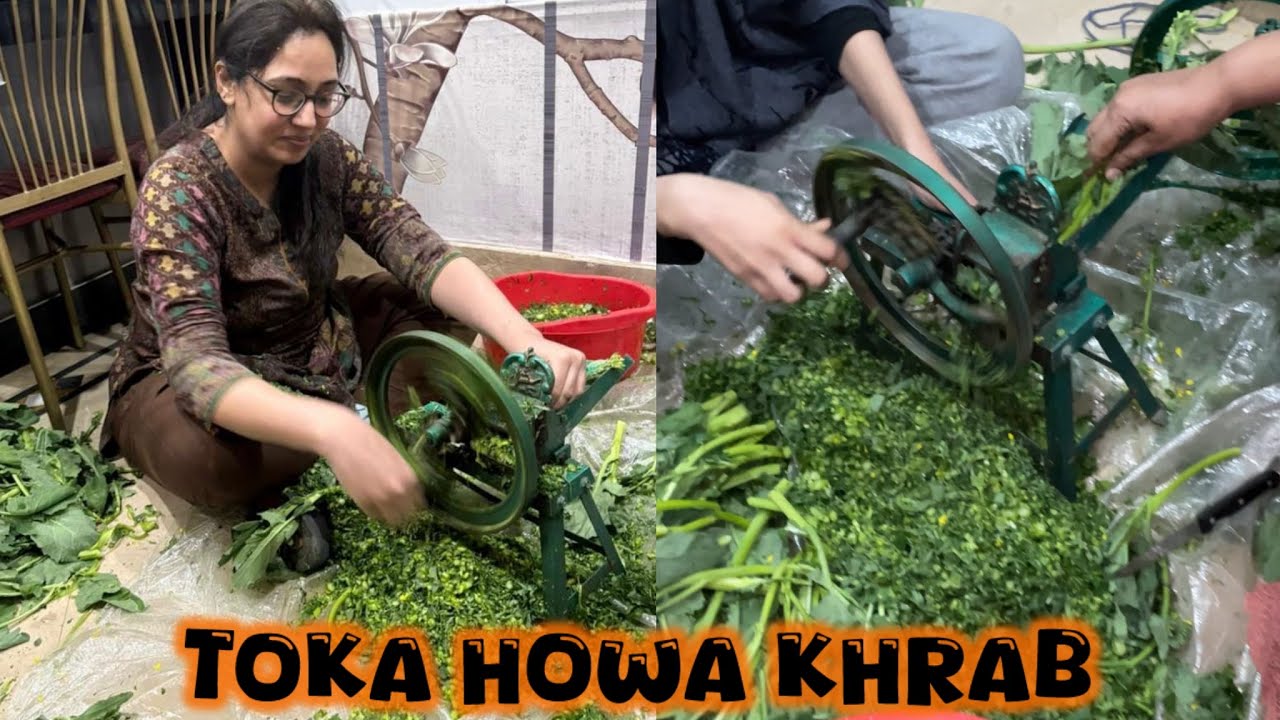 Saag ki amad amad || toka howa khrab || noshi ki duniya 