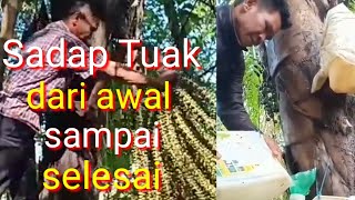 Sadap Tuak Aren Dari Awal Sdanai Selesai