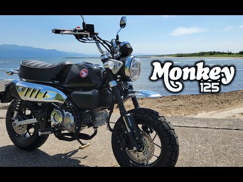 オートバイ・バイク MONKEY hqdefault.jpg