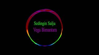Sedingin Salju  Dj   (Cover)