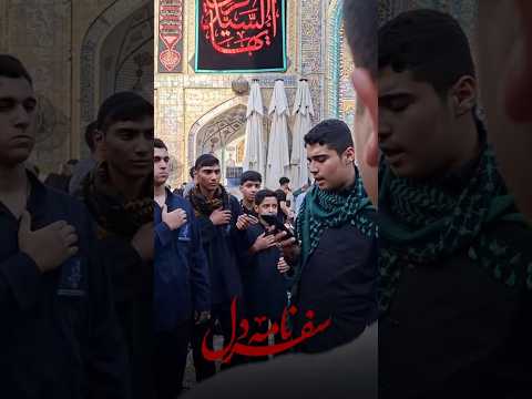 سفر نامه دل نجف اشرف