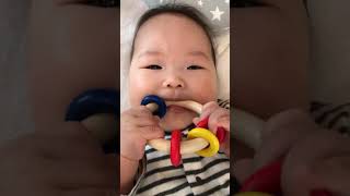 【生後6ヵ月】 ネフ おもちゃ