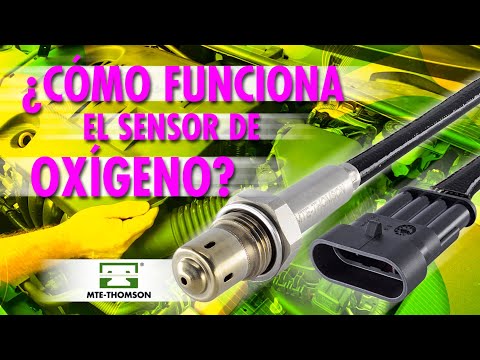 Video: ¿Cómo funciona un sensor de O2 de un solo cable?