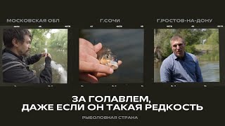 За голавлем, даже если он такая редкость. Рыболовная страна