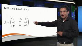 Introducción a los vectores y las matrices