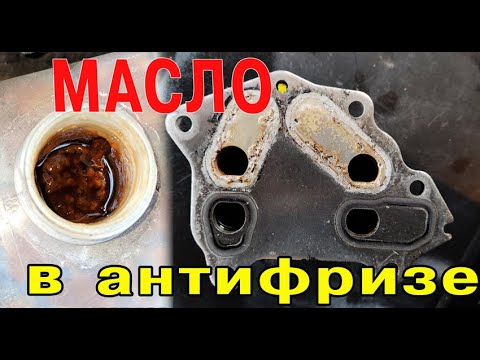 Масло в антифризе Ситроен. Замена теплообменника