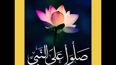 الشيخ جابر شرقاوي جامع سيدي عمر صلاة العشاء ماتيسر من سورة القصص