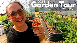 2024 Greenhouse & Garden Tour Week Six: Exponential Growth (Blushing Tomato!) | Zone 7 Garden
