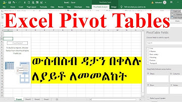 Excel Pivot Tables EXPLAINED in 9 Minutes | ፒቮት ሰንጠረዝ | MS Excel