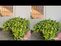 Samsung Galaxy S24 Ultra VS iPhone 15 Pro Max | Camera Test