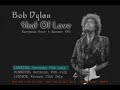 BOB DYLAN - Live in Germany & France '1981/BOB DYLAN: EUROPEAN TOUR - SHOT OF LOVE.