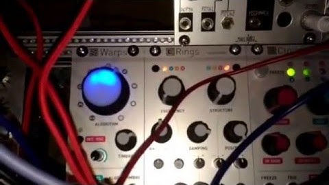 Testing Mutable Instruments Rings in it