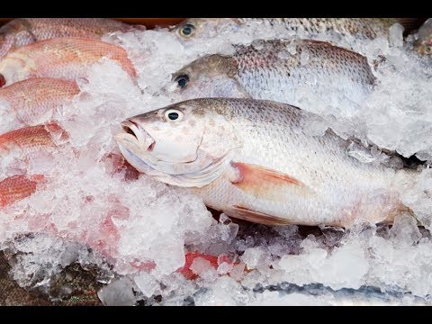 К чему снится замороженная рыба