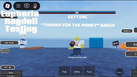 Euphoria Ragdoll testing, Getting “thanks for the money” badge easily.