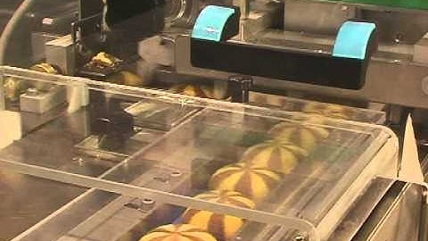 Delfin Lyra 600 flow wrapper, Biscuit Packaging Line - infeed/ sorting line