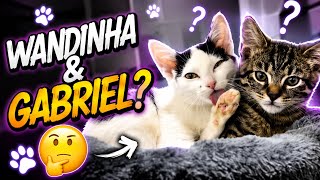 OS NOMES ESCOLHIDOS PARA ELES FORAM… 😱