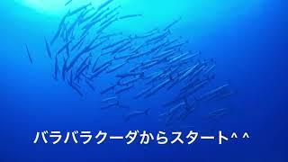 そろそろ梅雨明けの石垣島より海の中から^ ^