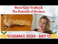 Vlogmas Day 12 - Black Cow Vodka & The Peacock of Dreams