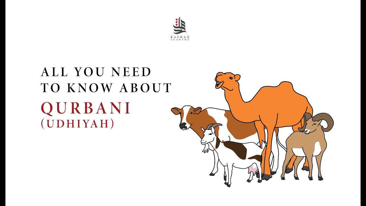EVERYTHING YOU NEED TO KNOW ABOUT QURBANI UDHIYAH  EXPLAINED WITH ANIMATIONS  Mufti Maruf Ahmed