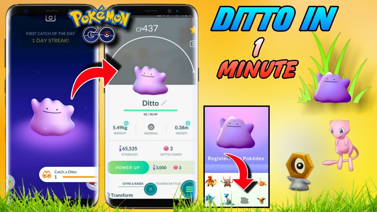 How to catch Ditto in PGSHARP easily ?