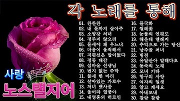 🌿 그때 그 시절 트로트 베스트 | 마음속에 남아있는 추억과 사랑의 멜로디 | 편안하게 듣는 감성음악