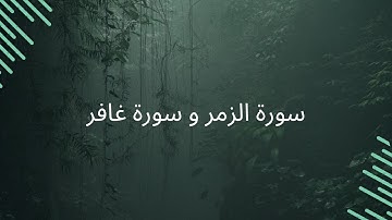 سورة الزمر و سورة غافر