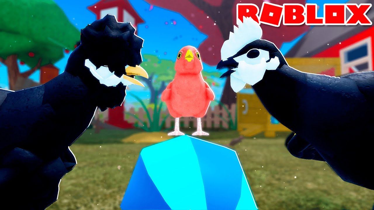 A HISTÓRIA da GALINHA PRETA e o PINTINHO DESPENADO! | ROBLOX Feather Family