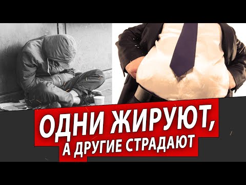 ОДНИ ЖИРУЮТ, А ДРУГИЕ СТРАДАЮТ | Журналистские расследования Евгения Михайлова