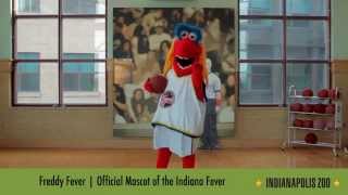 Meet The New Team In Town With Indys Favorite Mascots