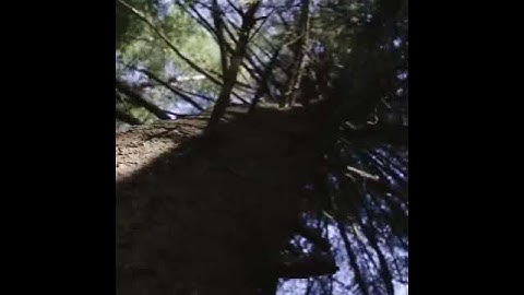 Thumbnail of i know that youre just as lonely