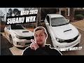 I Bought a Used WRX... and It Was FILTHY (Getting everything cleaned up)