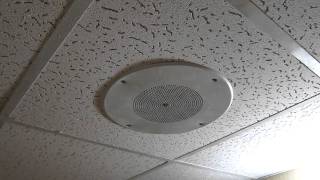 Jazz Fest 2011 48 The Sheraton In Metarie