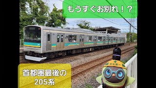 #JR東日本 もうすぐお別れ!?首都圏最後の205系詰め合わせ