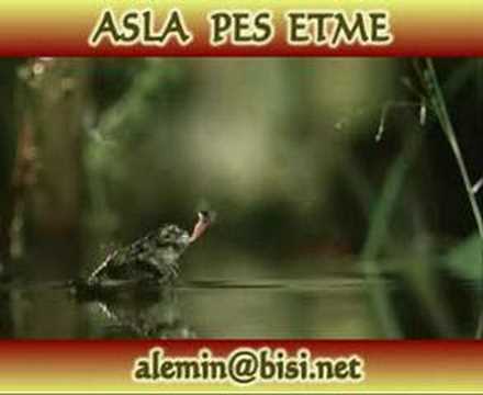 asla pes etme