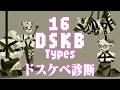 『 DSKB (ドスケベ) 診断 』やりました。