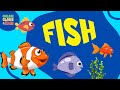 Discovering Fish: A Fun Quiz for Kids