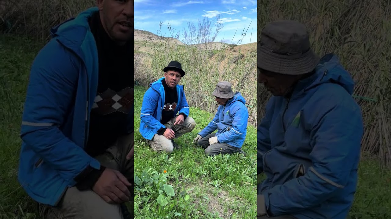 نعنوع قنع الحاج حتى عطاه دراهم